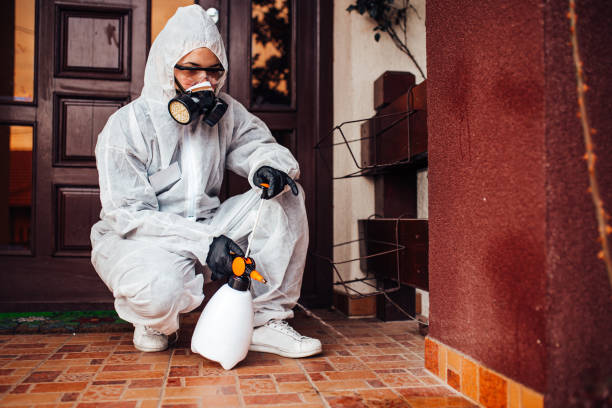 Reliable Rodent Control contractor in University, FL by Nex Pest Control