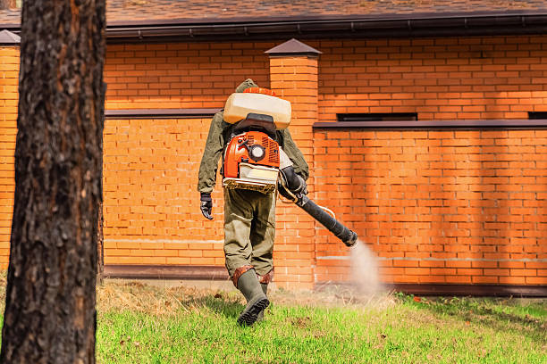 Trusted Cockroach Control service in University, FL - Nex Pest Control